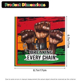 Ysqool 24/100 Pcs Black History Napkins, Black History Month Table Decorations Black History Month Napkins, Black History Month Party Supplies Black History Decorations Napkins (100, Multicolor)