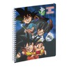 Exacompta - 9904462E - Dragon Ball S Notebook - 17