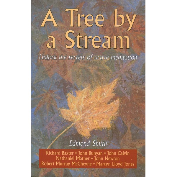 A Tree By a Stream: Unlock the secrets of active