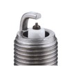 Autolite APP605 Double Platinum Automotive Replacement Spark Plug (1 Pack)