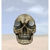 DWK "Deadly Devourings" Skull Salt & Pepper Spice Holder |