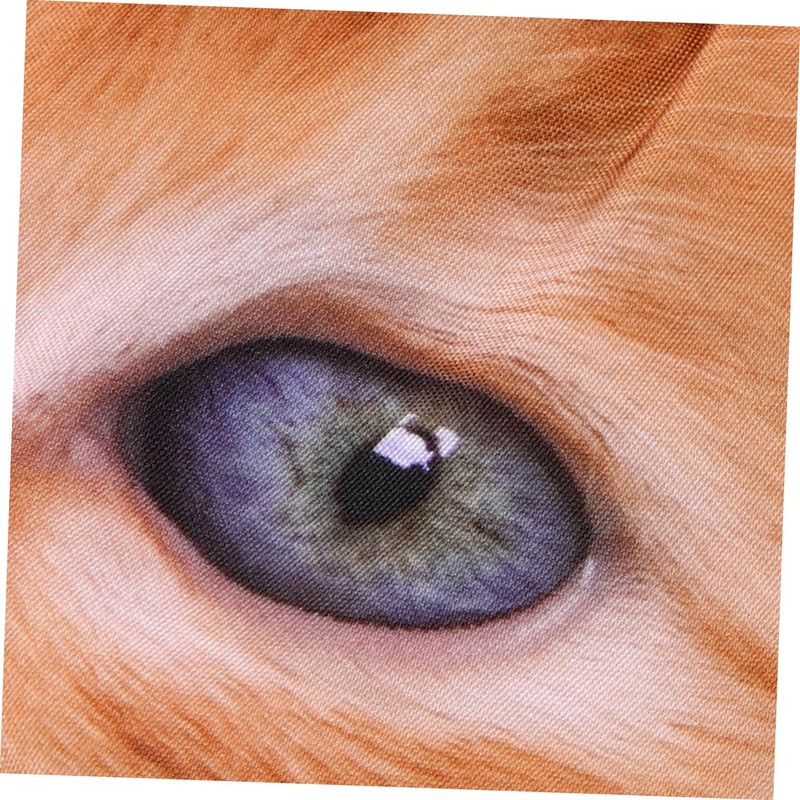 Beavorty Cat Blindfold Eye Mask Blinder Sleep Mask Eye Cover
