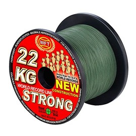 WFT kg Strong 0.25 mm 39 kg, Sea Clear Line – Fishing Line Braided Cord and Braid Line 600 M