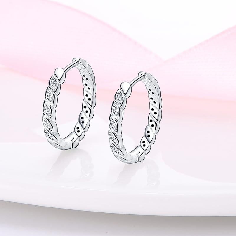 Pandach 925 Sterling Silver Earrings for Women 5A Cubic Zirconia