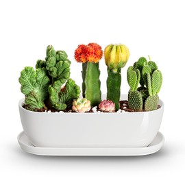 E-liu Oval Ceramic Planter Pot with Drainage Hole Saucers 14 Inch Succulents Planter Home Decor for Indoor Outdoor Plants Herb Cactus with 3 Mesh Pads, Plants Not Included