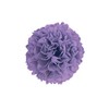 Goushika Seishi (合鹿製紙) Goshikizuru No.5 Ohanagami Tissue for Paper Flower