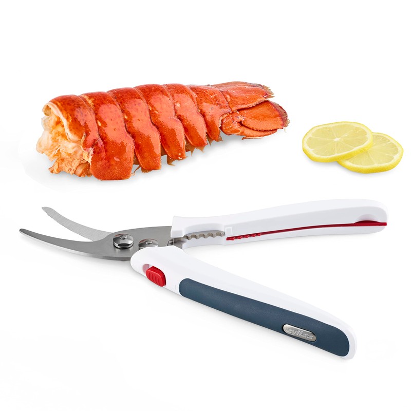 Zyliss E910039 Shellfish Shears, 22cm, Plastic/Stainless Steel, Multifunctional Shears for