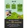 Professional Perspective: Reptile, Amphibians, Artificial Turf, Rearing Mat, Flooring Material,