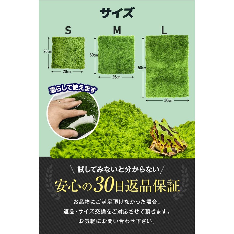 Professional Perspective: Reptile, Amphibians, Artificial Turf, Rearing Mat, Flooring Material,