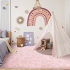 Pink Rugs for Living Room Fluffy 4x6 ft Bedroom Rug