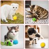 VAPKER 30 Pcs Cat Ball Toys Sparkle Balls Extra Large