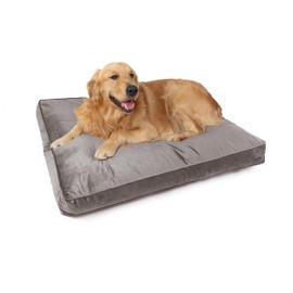 Sherry Kline Rectangle Double Sided and Reversible Soft Velvet Bed for Small Dogs & Cats - 26”X18”X 3", Medium Or Large Dogs, with Removable & Washable Cover (Light Grey Color)