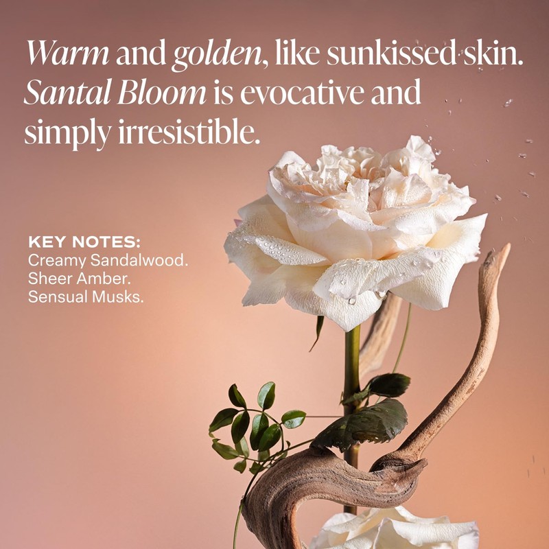Saltair Multi-Lipid Body Butter - Rich, Nourishing Santal Bloom