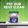 Cascade Platinum ActionPacs Dishwasher Detergent Pods, Fresh, 11 Count