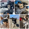 anteojos de sol Chihuahua extra pequeñas con protección ocular para