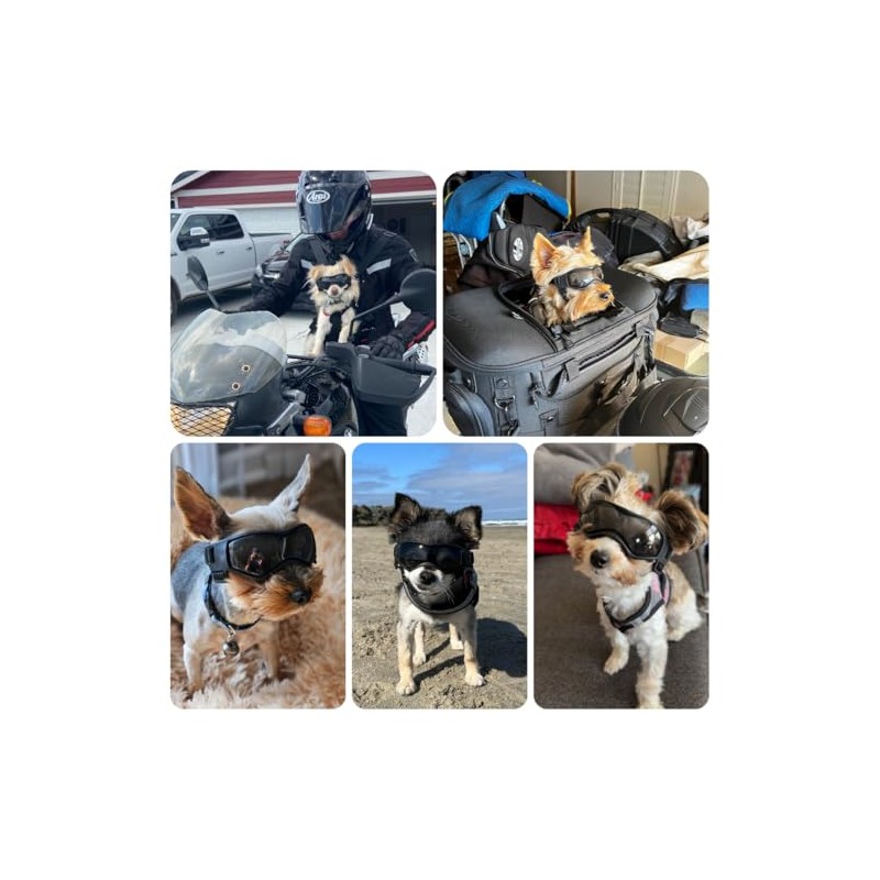 anteojos de sol Chihuahua extra pequeñas con protección ocular para