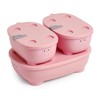 Prince Lionheart Bentomal Boxes | Cute Kids Lunch Boxes |
