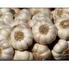 Fresh Garlic Bulbs Organic USA 3 Bulbs