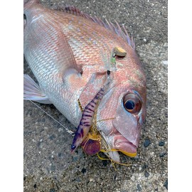 Little Jack Little Jack EBINEM Ebinem (0.7 oz (20 g), 02 New Moebi UV