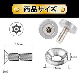 Car License Plate Anti-Theft Bolt License Frame Security Screws M6 (Silver)