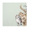 Wrendale Designs Feeline Good Cat Napkins 33cm Pack of 20