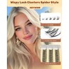 Spider Breeze Lash Clusters Kit Wispy Natural Eyelash Clusters DD