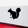 Decal Stickers of Squirrel Silhouette Animal (Black) (Set of 2)