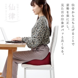 Alphax Posture Cushion, Sacral Cushion, Sengru, Navy