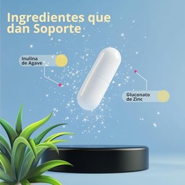Zinc Gluconato Inulina Prebióticos Suave Estómago 100 Cápsulas Días