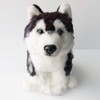 Realistic stuffed dog | Husky