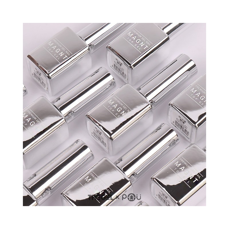 Thezel The Gel Magnet Top Gel Magnet Nail / 더젤
