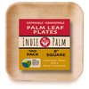 Compostable Palm Leaf Plates - 8 Inch Square [100-Pack] Microwave