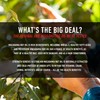 Keto Macadamia Nut Oil Ketogenic Oil For Cooking From Real