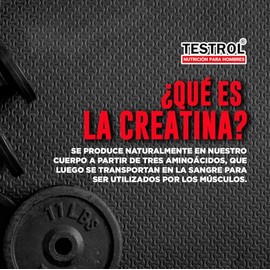 Testrol  Creatina Essential  Creatina Monohidratada  Apoyo a Potencia, Resistencia y Recuperación  120 Cápsulas                                       