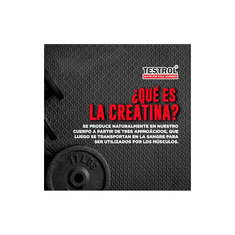 Testrol Creatina Essential Creatina Monohidratada Apoyo a Potencia, Resistencia y
