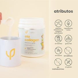 ela nutrition | ela Collagen | Lemon Ginger | Péptidos bioactivos de colágeno hidrolizado + ácido hialurónico + prebióticos + probióticos | 420 gramos (35 porciones)