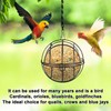 4 Pcs Fat Ball Bird Feeder, Metal Squirrel-Proof Hanging Bird