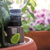 G.F. GF80256344 Sprinkler Bottle for Potted Plants, 3 x 5