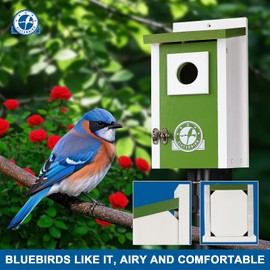 SISTERBIRD Bird Houses for Outside, Lime Green Bird House, Bluebird Houses for Outside, Garden Decoration Birdhouses for Outdoors, Bluebird Finch Swallow Wren Chickadee