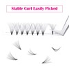Volume Eyelashes, 12D, 0.07 mm, C curl, 14 mm, Volume