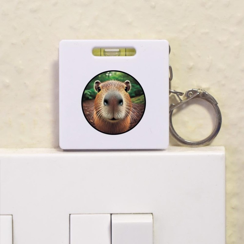'Smiling Capybara' Keyring Tape Measure/Spirit Level Tool (KM00041689)