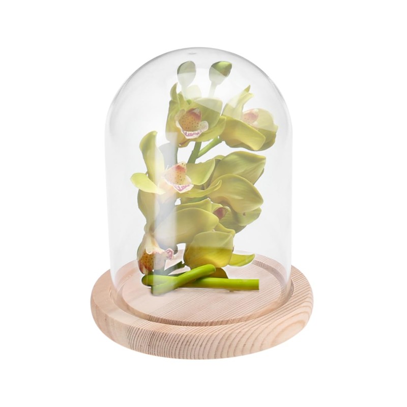 CHILDWEET 9x12cm Flower Glass Cover Glass Dome on Wooden Stand