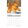 Golden Rules 2023 Wall Calendar