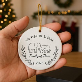 2025 Family of Three Christmas Ornament, Baby's First Christmas Keepsake, Family of 3 Christmas Tree Ornament, In 2025 We Become A Family Of Three Keepsake, 3"