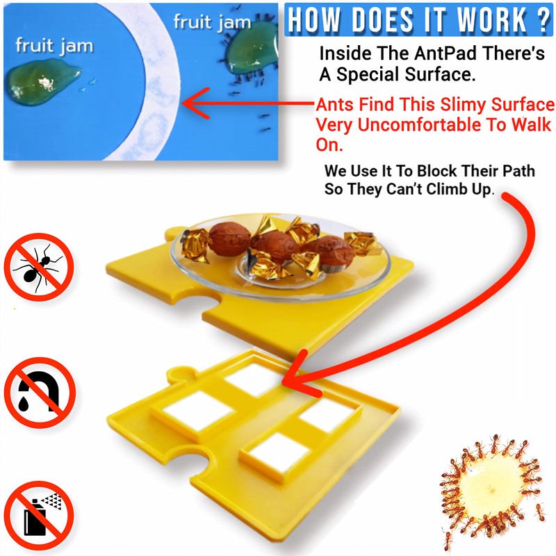 AntPad | Ant Proof for Food Dish | Ant Proof