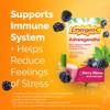 Emergen-C Vitamin C Ashwagandha Drink Mix, Dietary Supplement for Immune