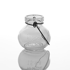 Richland Vintage Jar Mini Hanging Glass Vase Set of 12