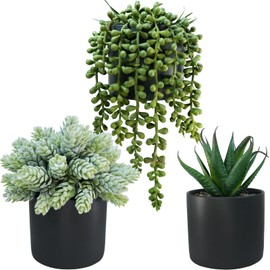 Winlyn Set of 3 Small Artificial Potted Succulent Plants Faux Aloe Hops String of Pearls Succulents in Black Cylinder Pots for Gift Home Office Bathroom Indoor Outdoor Table Shelf Windowsill Décor