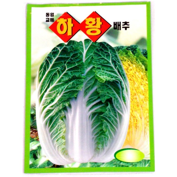 Cabbge Seeds Korean. 2 Pack(4grams-Each)