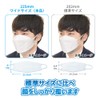 Biho Mask Made in Japan 4 Layer Construction, Double Uses